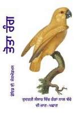 McAdams, D: ਤੋਤਾ ਰੰĂ