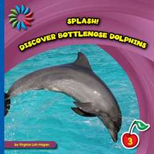 Discover Bottlenose Dolphins