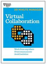 Virtual Collaboration