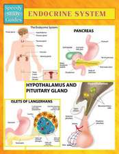 Endocrine System (Speedy Study Guides)