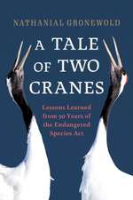 A Tale of Two Cranes