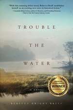 Trouble The Water