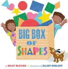 Big Box of Shapes