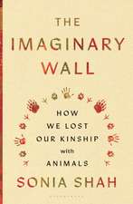 The Imaginary Wall