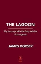 The Lagoon: Encounters with the Whales of San Ignacio