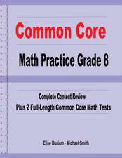 Smith, M: Common Core Math Practice Grade 8