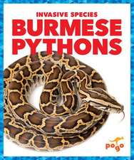 Burmese Pythons