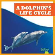 A Dolphin's Life Cycle