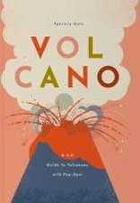 Volcano: A 3-D Guide to Volcanoes with Pop-Ups!