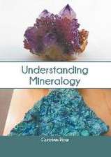 Understanding Mineralogy