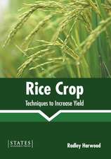 Rice Crop: Techniques to Increase Yield