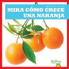 Mira Cómo Crece Una Naranja (Watch an Orange Grow)