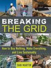 Martin, D: Breaking the Grid