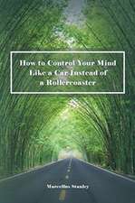 How to Control Your Mind Like a Car Instead of a Rollercoaster