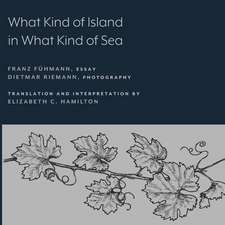 What Kind of Island in What Kind of Sea?