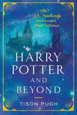 Harry Potter and Beyond: On J. K. Rowling's Fantasies and Other Fictions