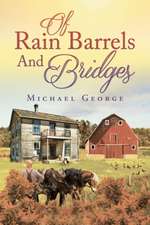 Of Rain Barrels and Bridges