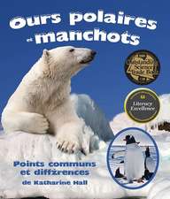 Fre-Ours Polaires Et Manchots