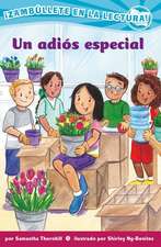 Un Adiós Especial (Confetti Kids #12)