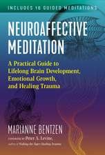 Neuroaffective Meditation: A Practical Guide to Lifelong Brain Development, Emotional Growth, and Healing Trauma