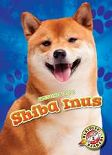 Shiba Inus