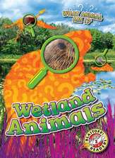 Wetlands Animals