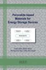 Perovskite based Materials for Energy Storage Devices