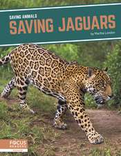 Saving Jaguars