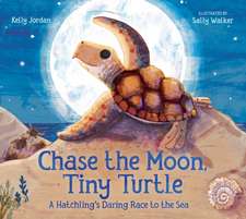 Jordan, K: Chase the Moon, Tiny Turtle