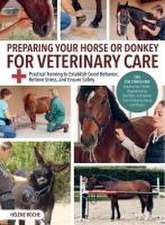 Preparing Your Horse or Donkey for Veterinary Care