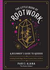 The Little Book of Rootwork