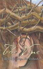 The Vine