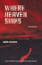 Where Heaven Sinks: Poems