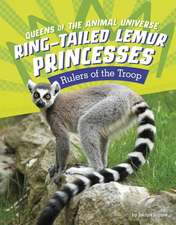 Ring-Tailed Lemur Princesses