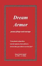 Imhoff, D: Dream Armor