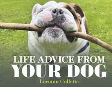 Life Advice from Your Dog