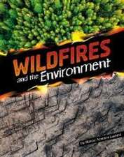 Wildfires and the Environment