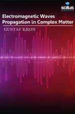 Electromagnetic Waves Propagation in Complex Matter