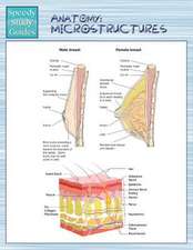 Anatomy