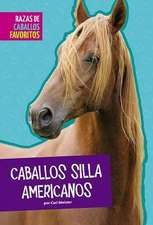 Caballos Silla Americanos