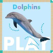 Dolphins Play