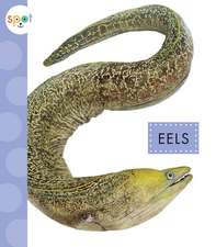 Eels