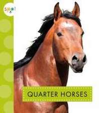 Quarter Horses