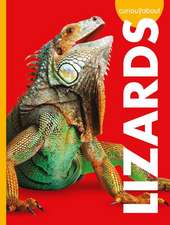 Curious about Lizards