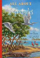 All about the Everglades