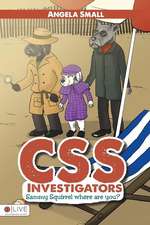 CSS Investigators