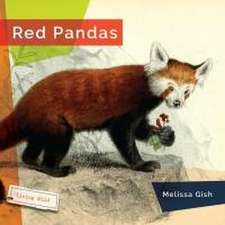 Red Pandas