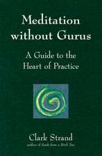 Meditation Without Gurus