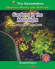 GARDENS IN THE MOONLIGHT WHAT