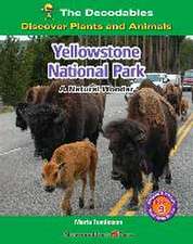 YELLOWSTONE NATL PARK A NATURA